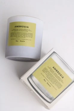 Boy Smells AMBROSIA Candle LIFELIFE