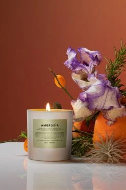 Boy Smells AMBROSIA Candle LIFELIFE