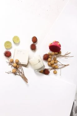 Maison Louis Marie LIFELIFE ANTIDRIS LIME Candle