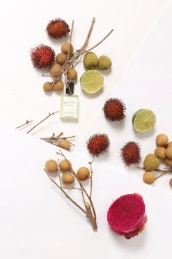 Maison Louis Marie VALLÉE DE FARNEY No. 9 Perfume Oil LIFELIFE