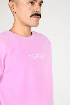 Intentionally Blank TAURUS ZODIAC PULLOVER GARMENTS