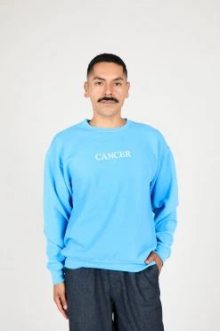 Intentionally Blank CANCER ZODIAC PULLOVER